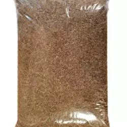 Lawn seed 1kg