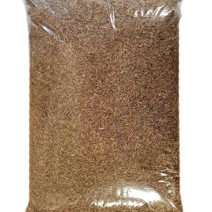 Lawn seed 1kg