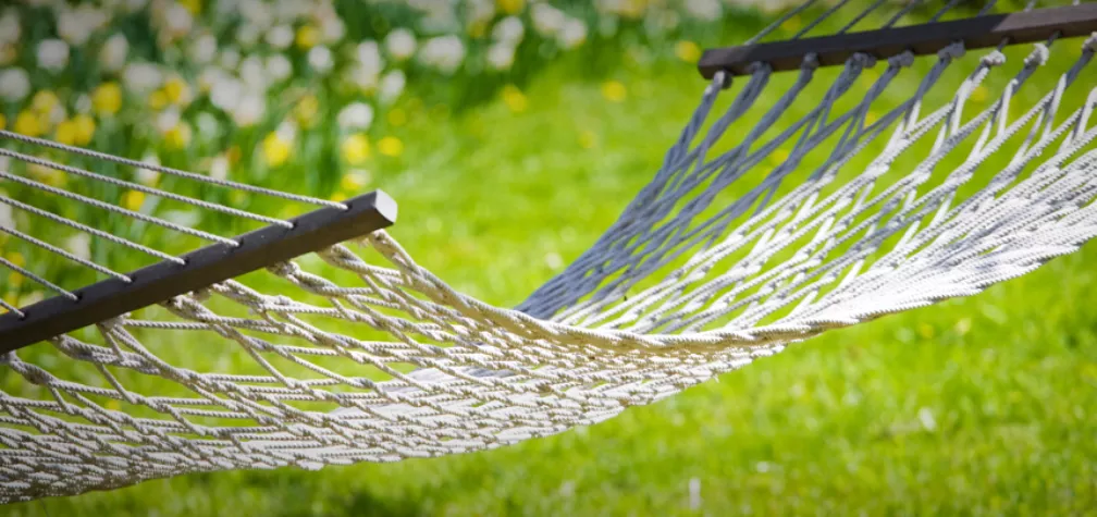 Look After Your Garden In Summer