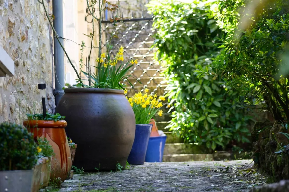 What to grow in shade