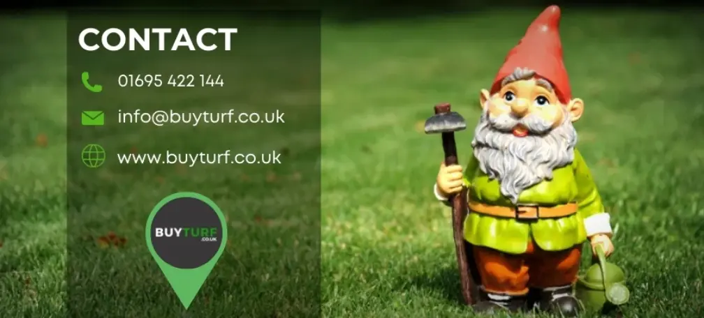 Buy turf contact us