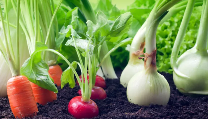 Planting Vegetables In Flower Beds And Borders