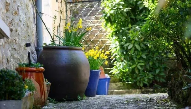 What to grow in shade thumb