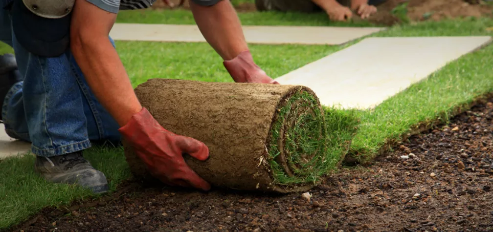 Why Should I Use Turf