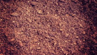 Compost Suppliers Category