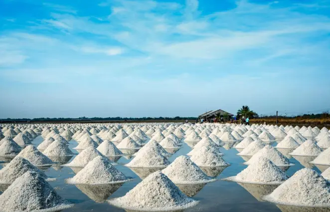 Sea salt farm