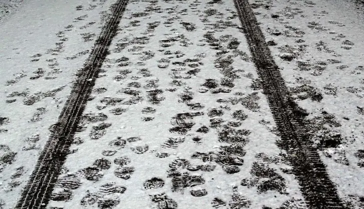 Gritting when should you start