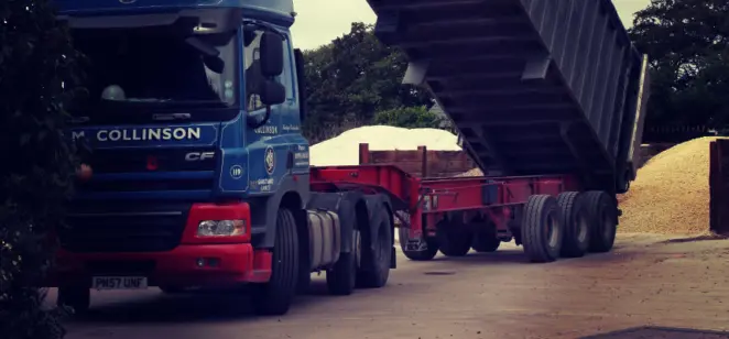 After a Full Load of Salt?