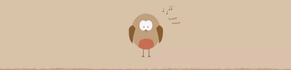 Attracting Birds To Your Garden