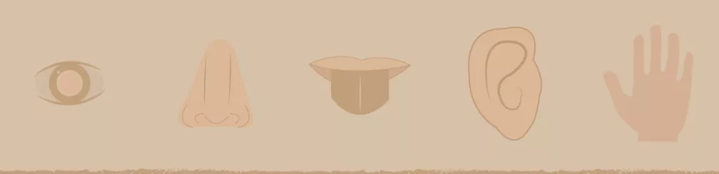 A Garden for all the Senses