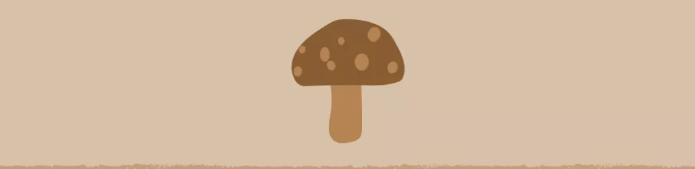 Mushroom Compost Blog