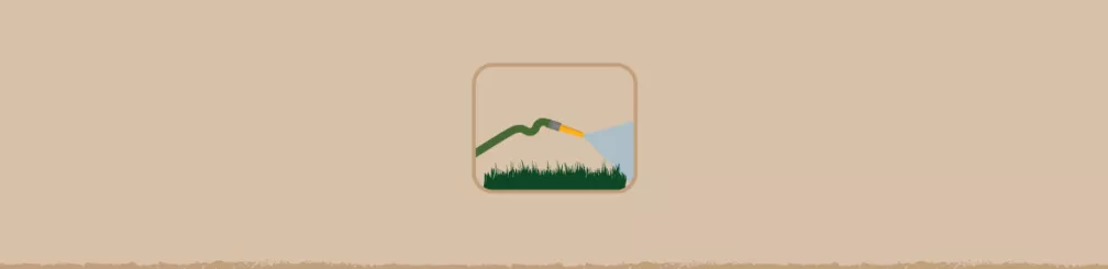 Water Wise Gardening Tips