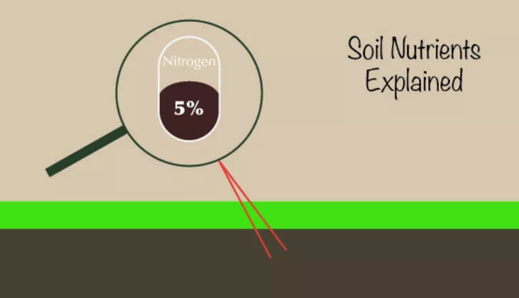 Soil nutrients
