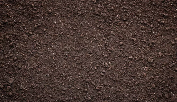 Topsoil for laying turf