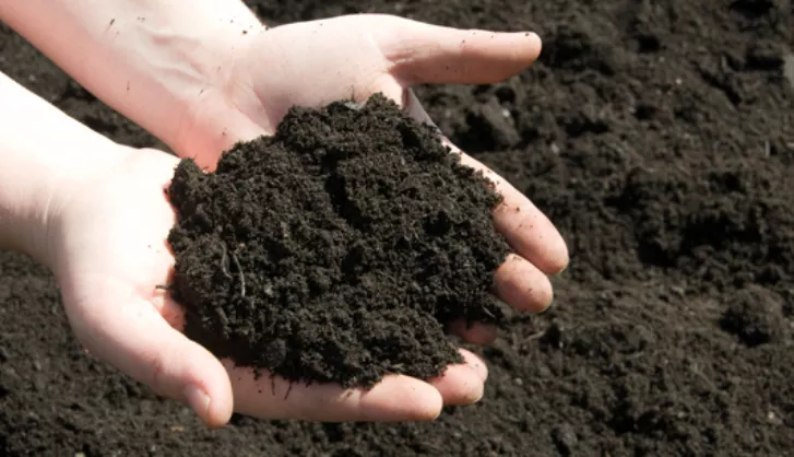 What is topsoil