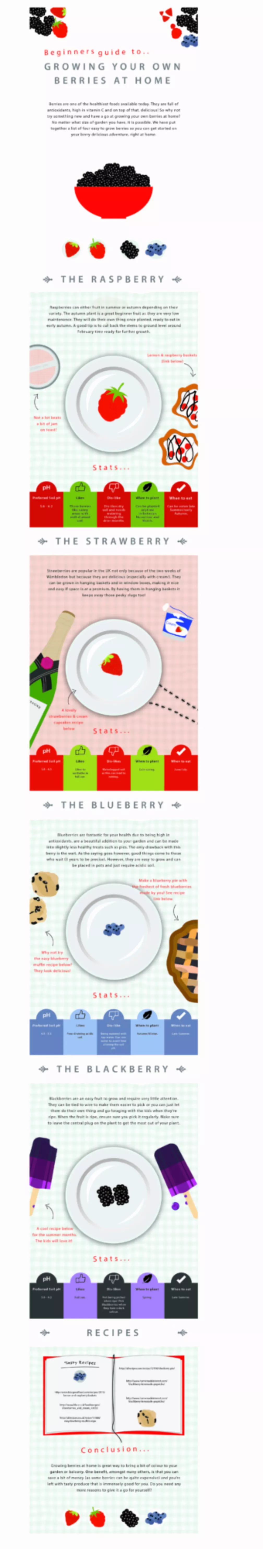 Beginners Guide To Growing Berries