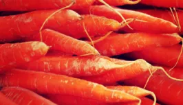 Carrot 2