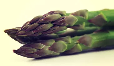 Asparagus 2