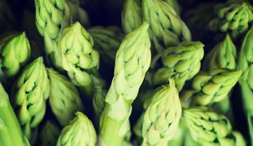 Asparagus 3