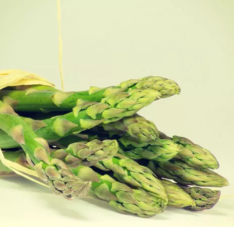 Asparagus Square