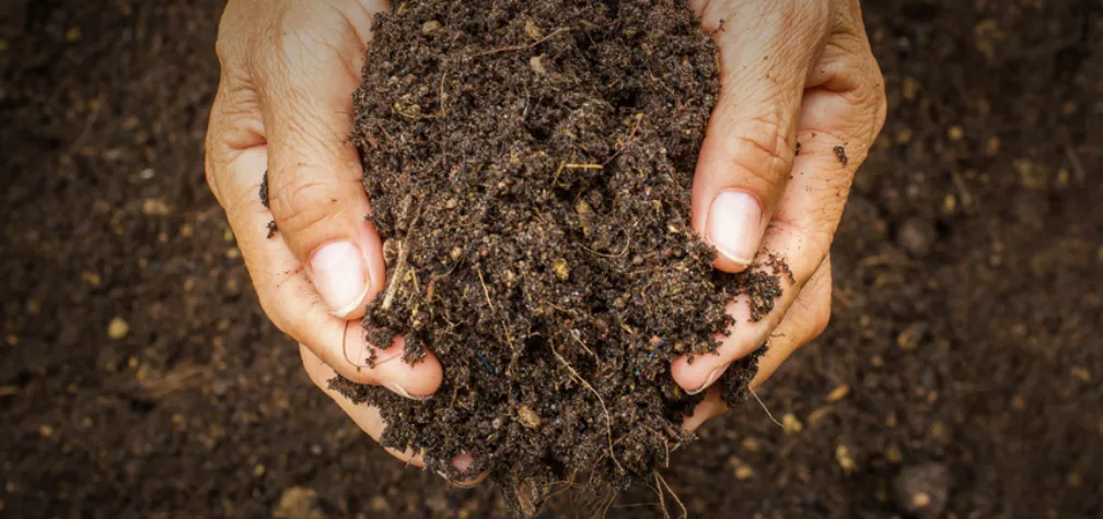 Topsoil Buying Guide