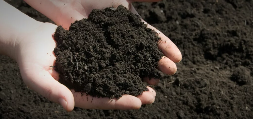 What Is Topsoil