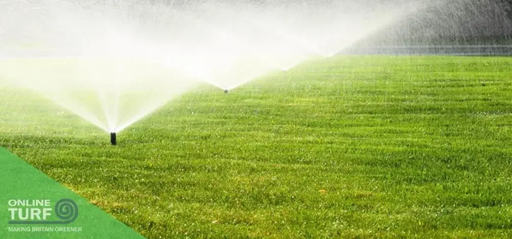 Online Turf Voucher Codes and Coupons