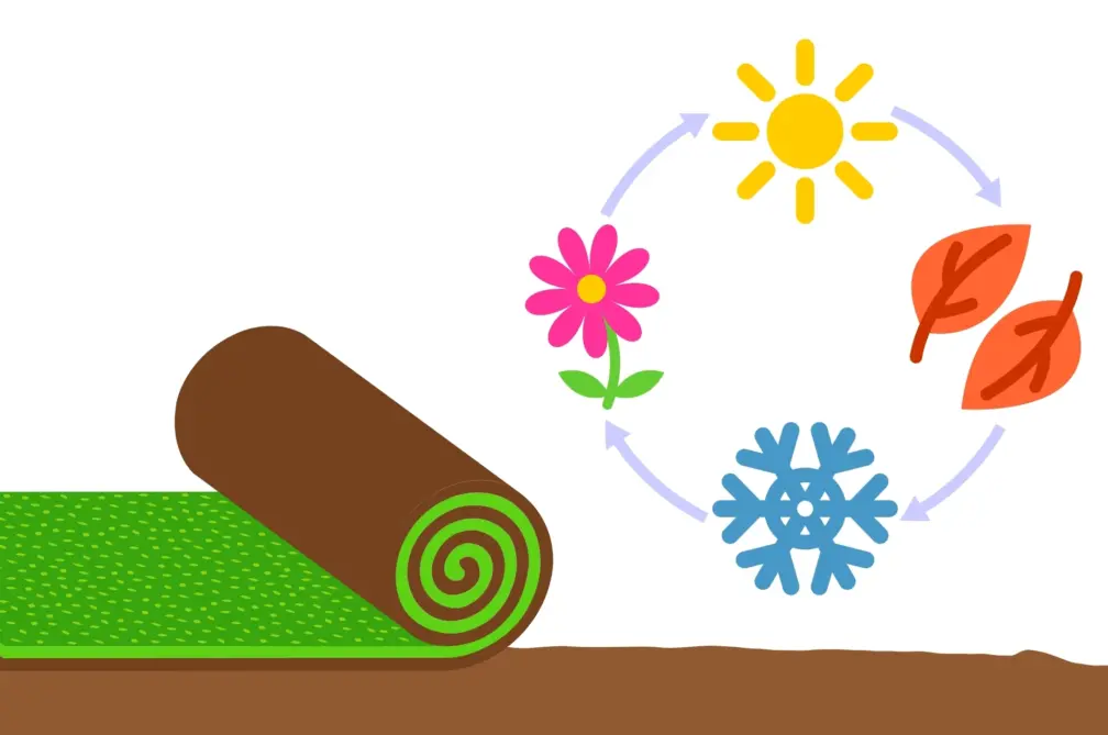 Seasonal turf laying