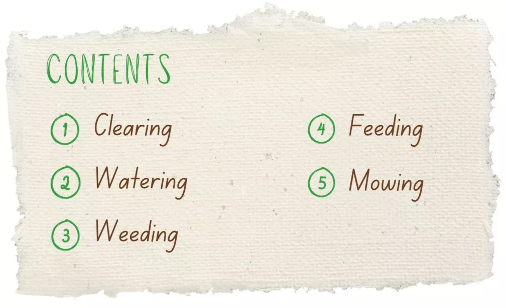 Winter Lawn Care Tips