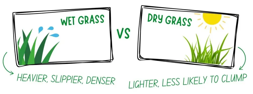 Wet grass vs dry grass