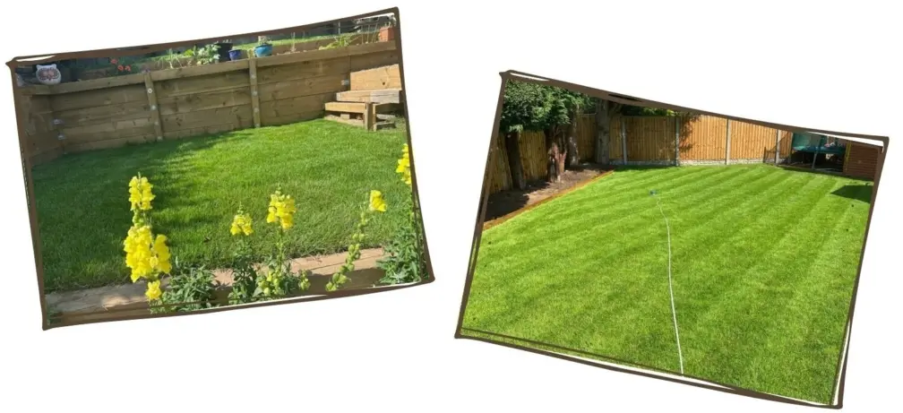 Types of grass commonly used