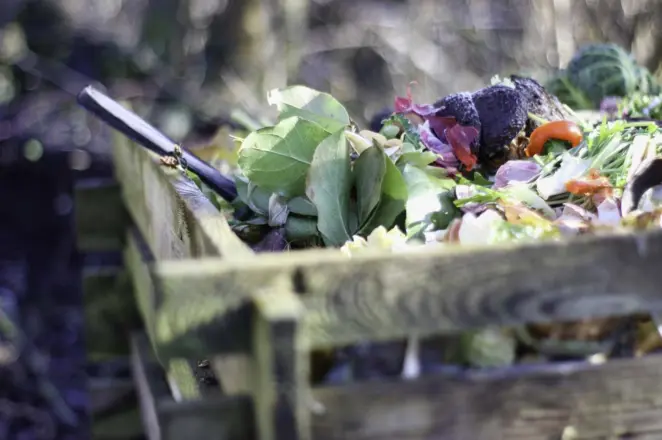 Winter compost bin
