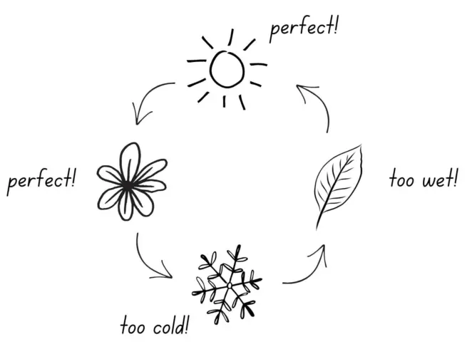 Seasonal lawn edging