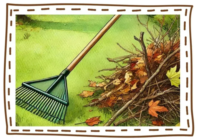 Clearing Lawn Winter