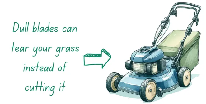 Lawn mower maintenance
