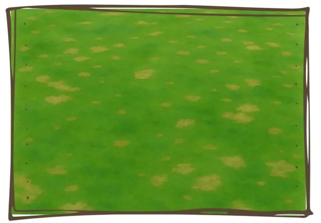 Fusarium patch