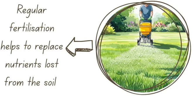 Maintenance procedures for turf