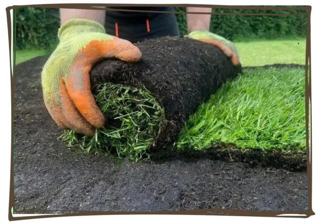 Turf roll