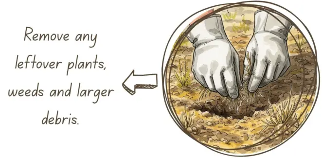 Remove weeds and debris