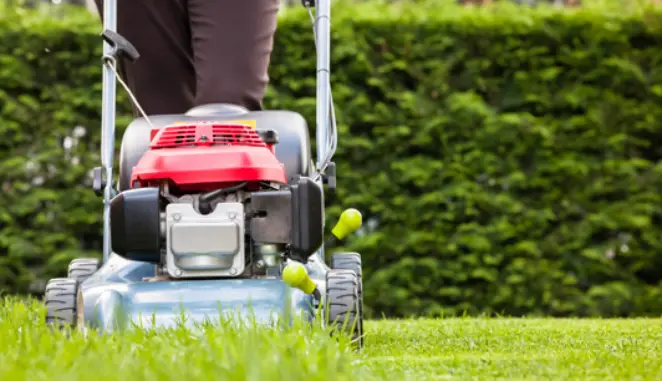 Lawn Mower Maintenance