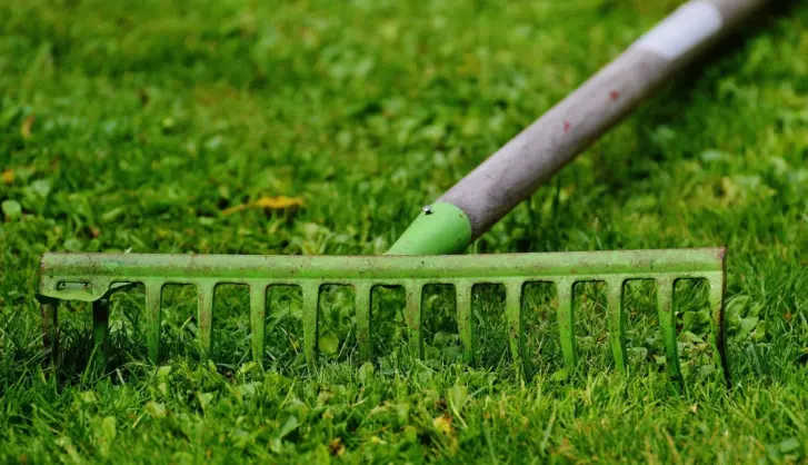 Preparation for laying turf
