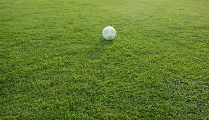 Turf in community spaces