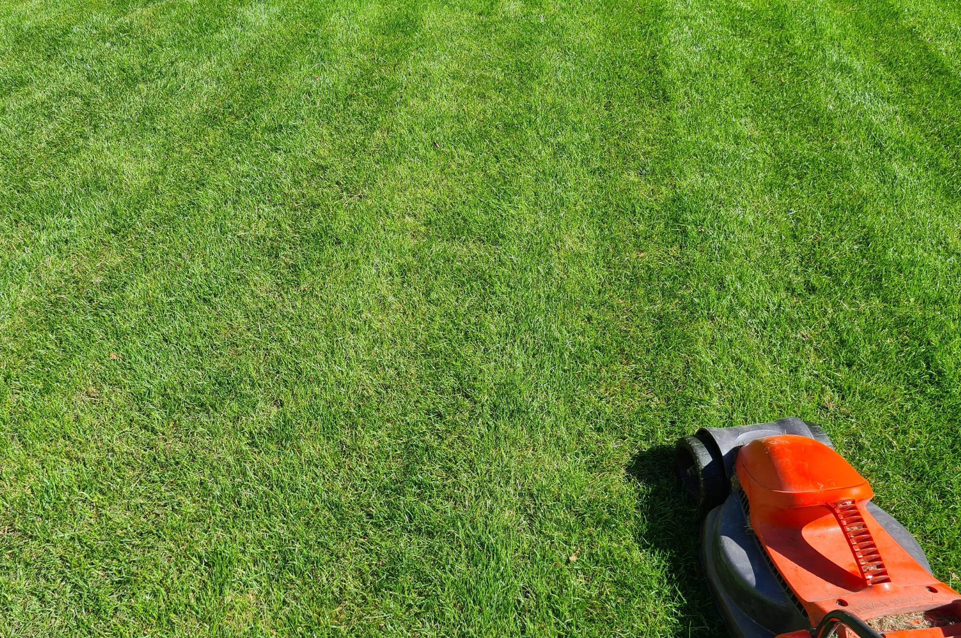 Community Spaces Feedback 1