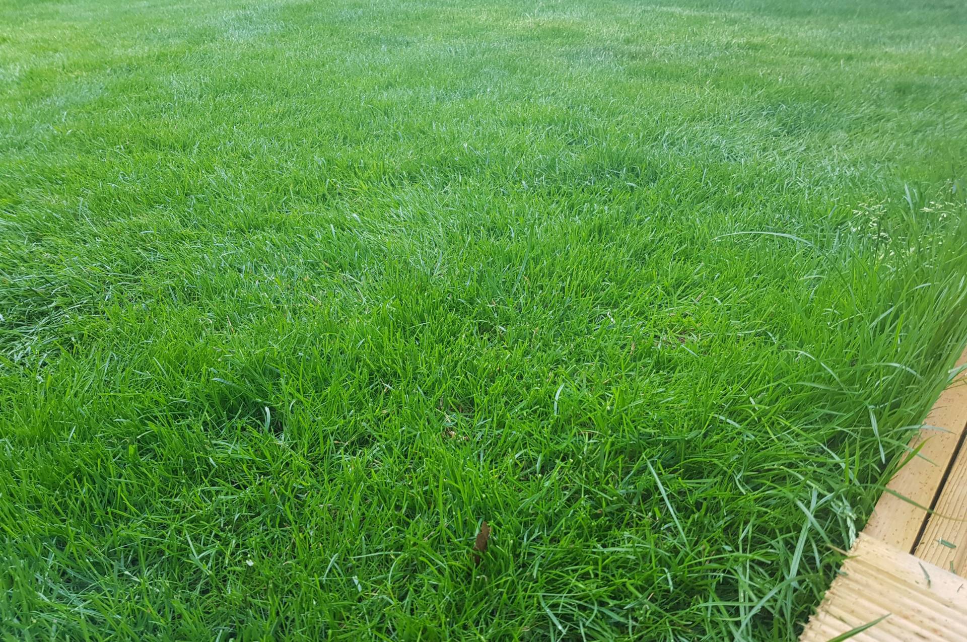 Community Spaces Feedback 4