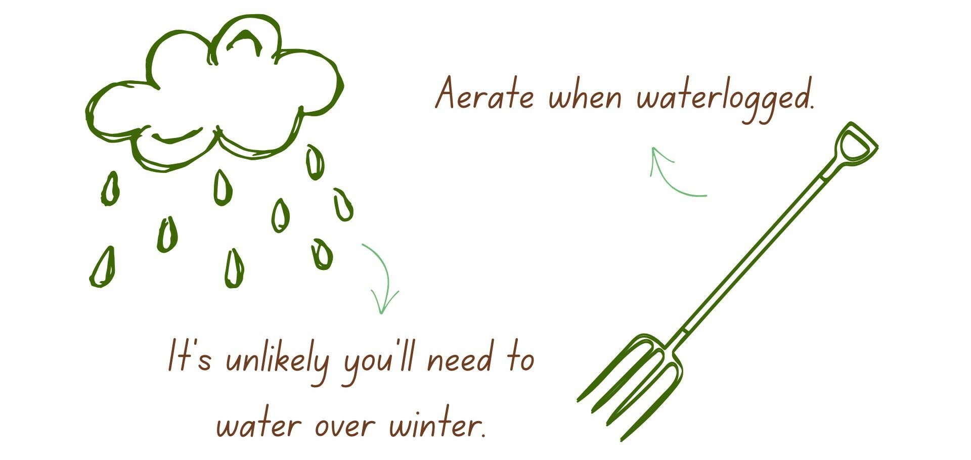 Watering Lawn Winter