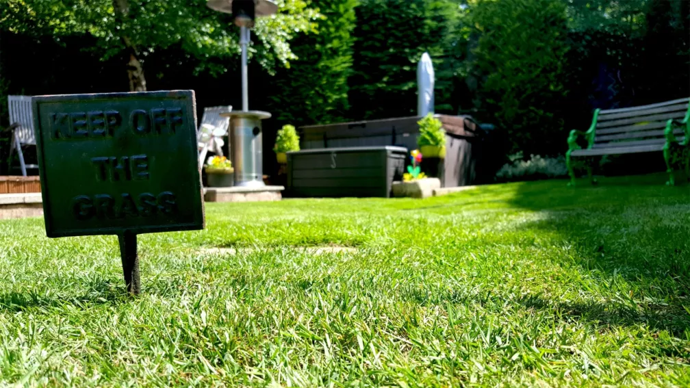 How to Mow Your Lawn