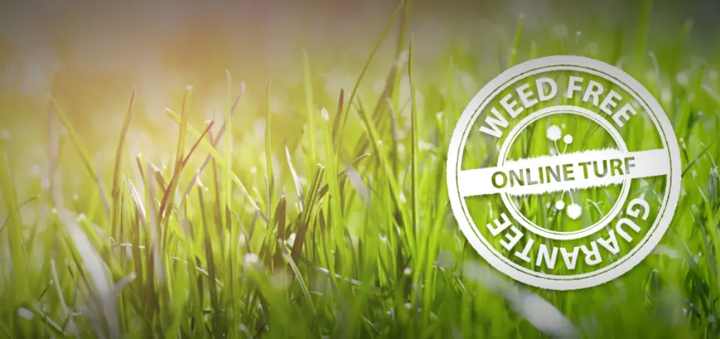 Weed Free Guarantee