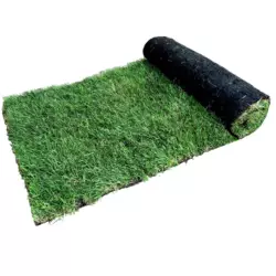 Budget Turf