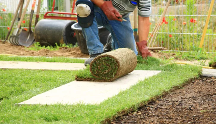 Man Laying Turf