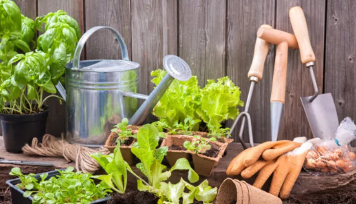 Show Your Tools Some Tlc